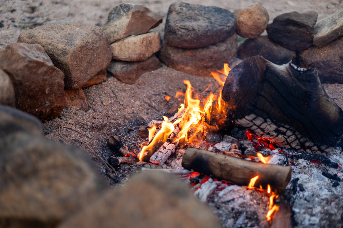 Oasis of Stillness - A nature retreat for all - DELUXE CABIN Option