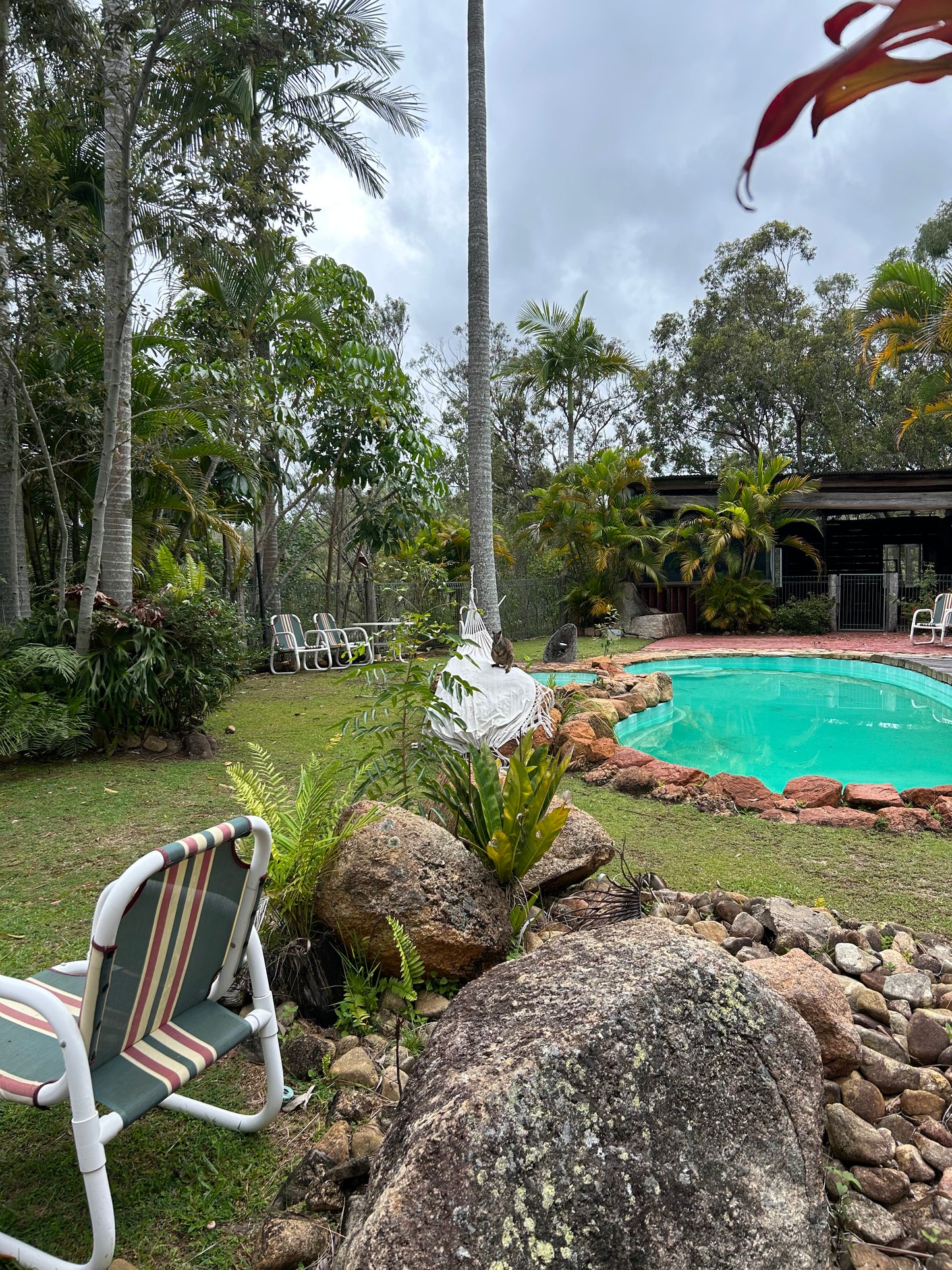 Oasis of Stillness - A nature retreat for all - DELUXE CABIN Option